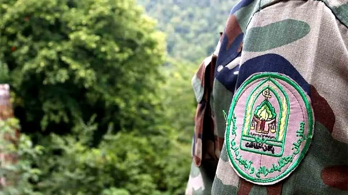 دستگیری ۴ ضارب جنگلبان نور