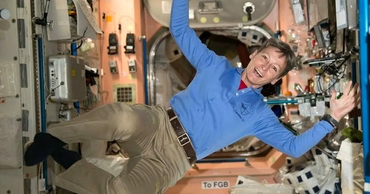 گران‌ترین توالت‌ جهان چند؟ /تصویر