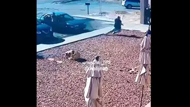 قتل بی‌رحمانه بر سر جای پارک در خیابان+فیلم