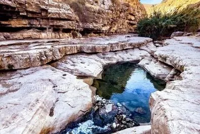تصویر متفاوت از فلسطین با این دو زن