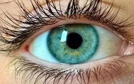 دانشمندان «رنگ جدیدی» کشف کردند!
