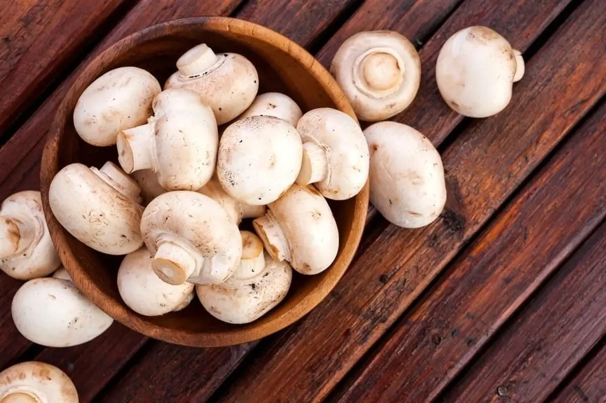 قیمت قارچ ۳۰۰ درصد گران شد