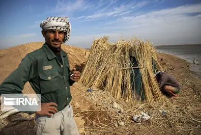 نگهبانان تالاب هورالعظیم