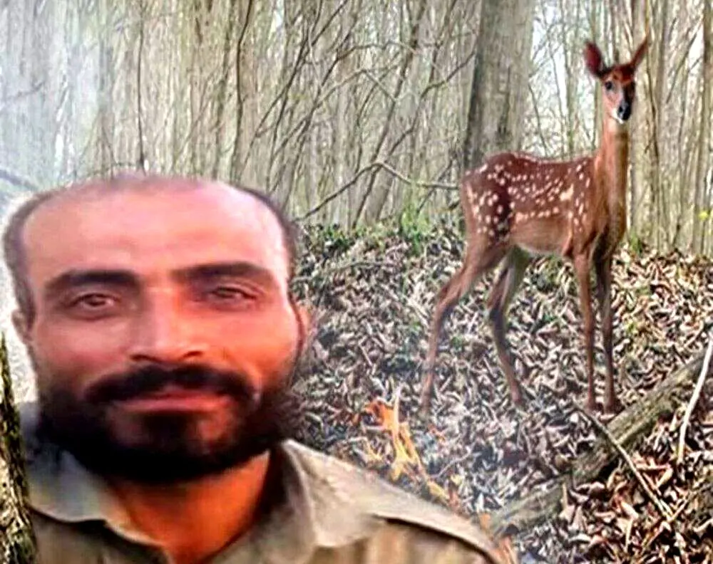 دادستان جزئیات قتل محیط‎بان کرمانشاهی را اعلام کرد
 