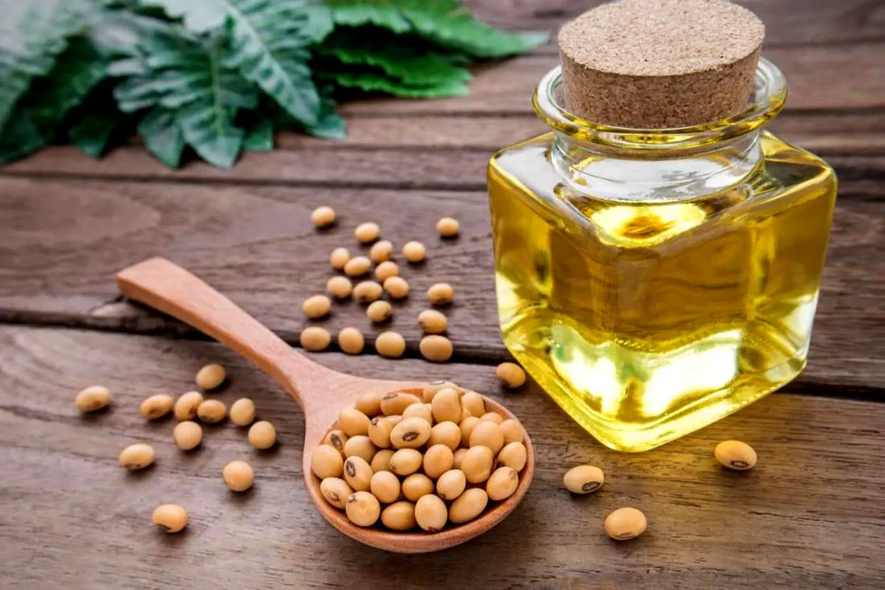 از این غذای ورزشکاران حرفه‌ای غافل نشوید!