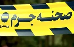 (15+) این خبر ایران را به لرزه در می‌آورد؟دختربچه ۱۰ ساله همبازی‌اش را سلاخی کرد