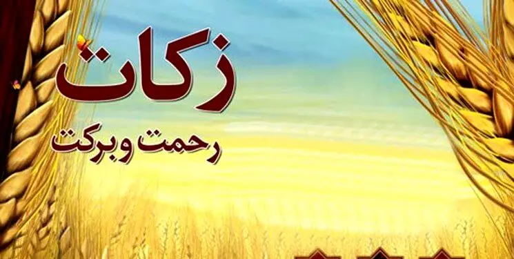 هیات وزیران برای زکات آیین نامه نوشت

