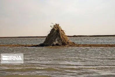 نگهبانان تالاب هورالعظیم