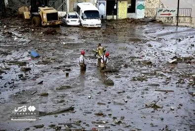 سیل در کن