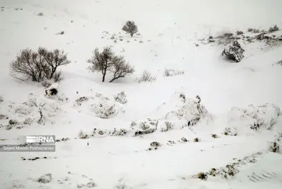 بارش برف کردستان