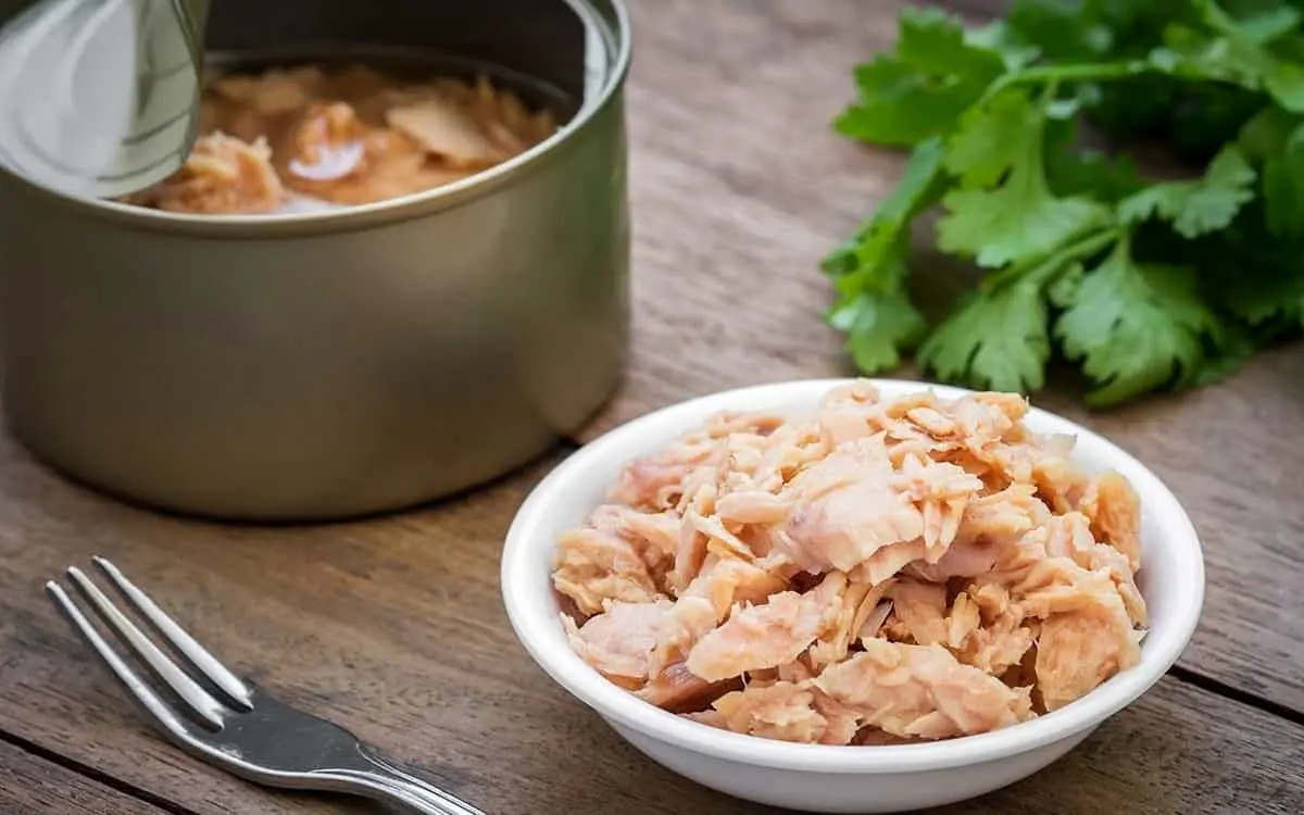  قیمت ماهی کنسروی 120 درصد گران شد