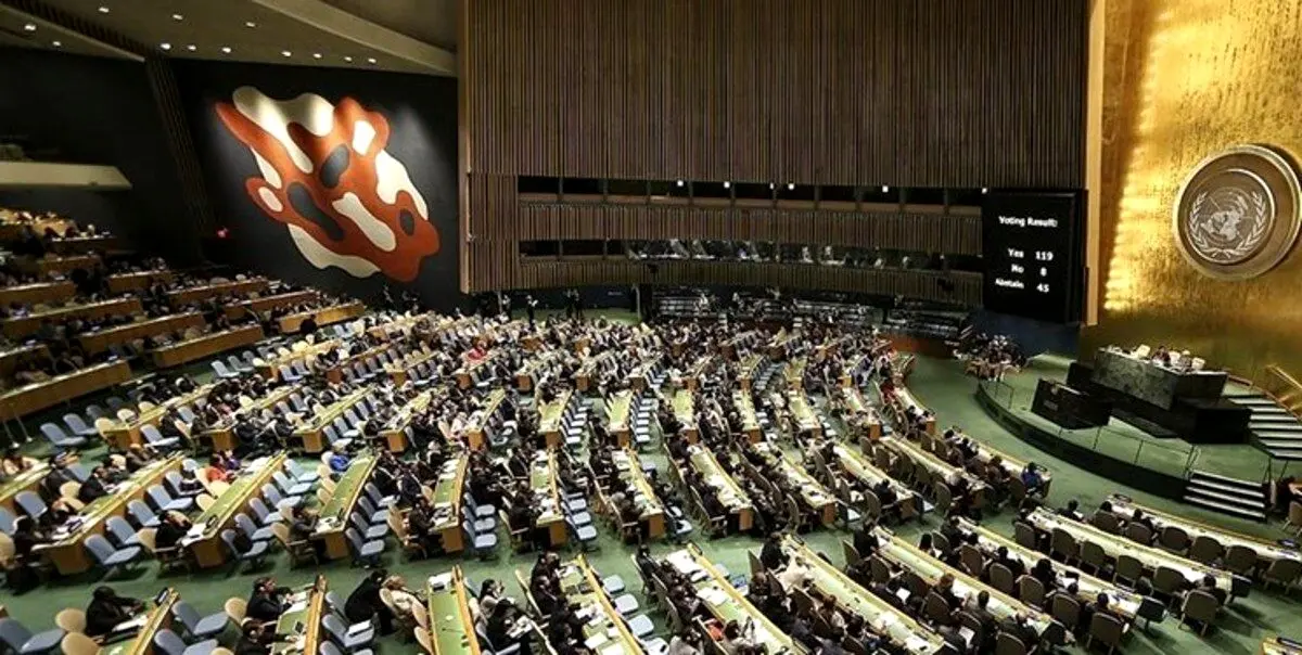 بیانیه مهم سازمان ملل درباره طرح صیانت
