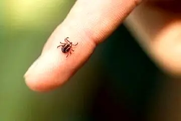 فوت یک شهروند زاهدانی با علائم بیماری کنگو
