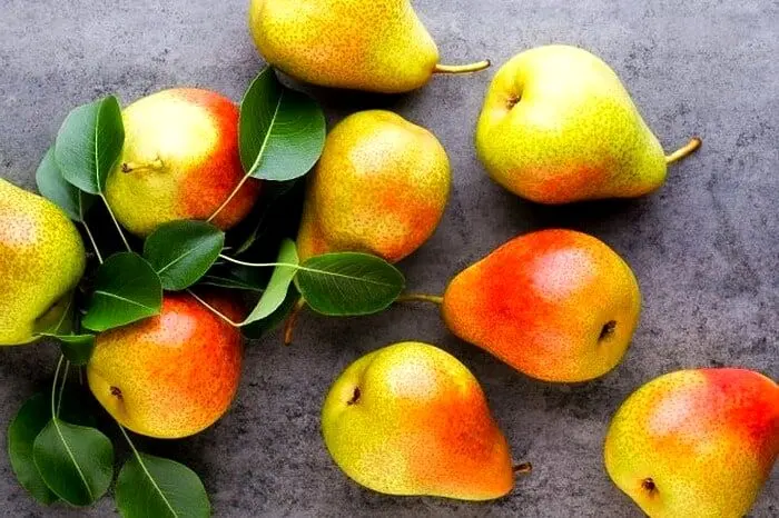 هرگز این نوشیدنی‌ها را مخلوط نکنید!