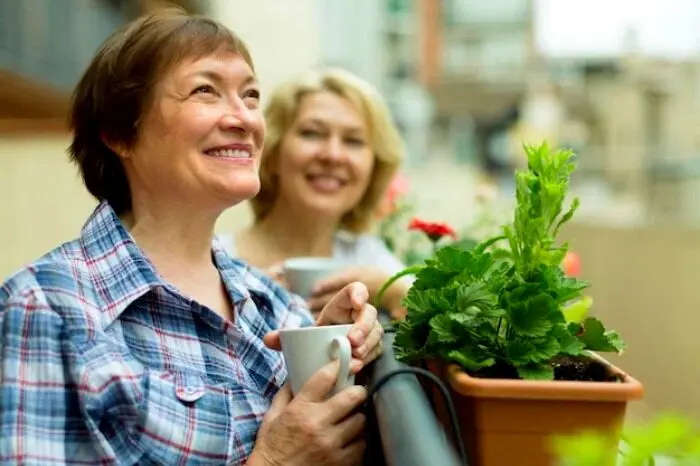 چگونه یک همسایه خوب باشیم؟ این ویژگی ها راز اصلی است

