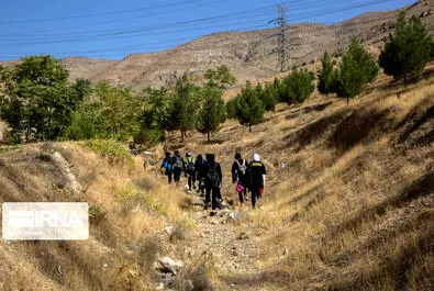 بوکس بانوان