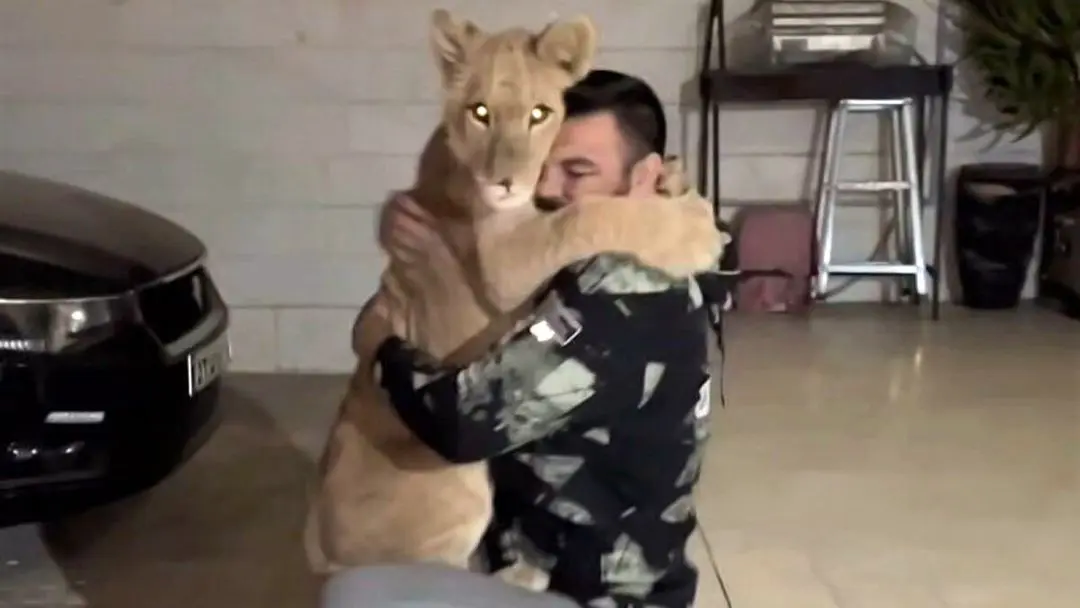 توله شیر باغوحش پارک ارم تلف شد