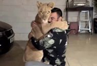 توله شیر باغ‌وحش پارک ارم تلف شد