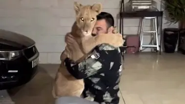 توله شیر باغ‌وحش پارک ارم تلف شد