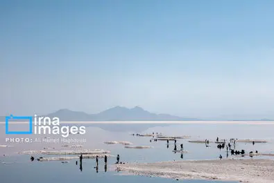 شنا کردن مردم در دریاچه بی‌جان ارومیه + عکس