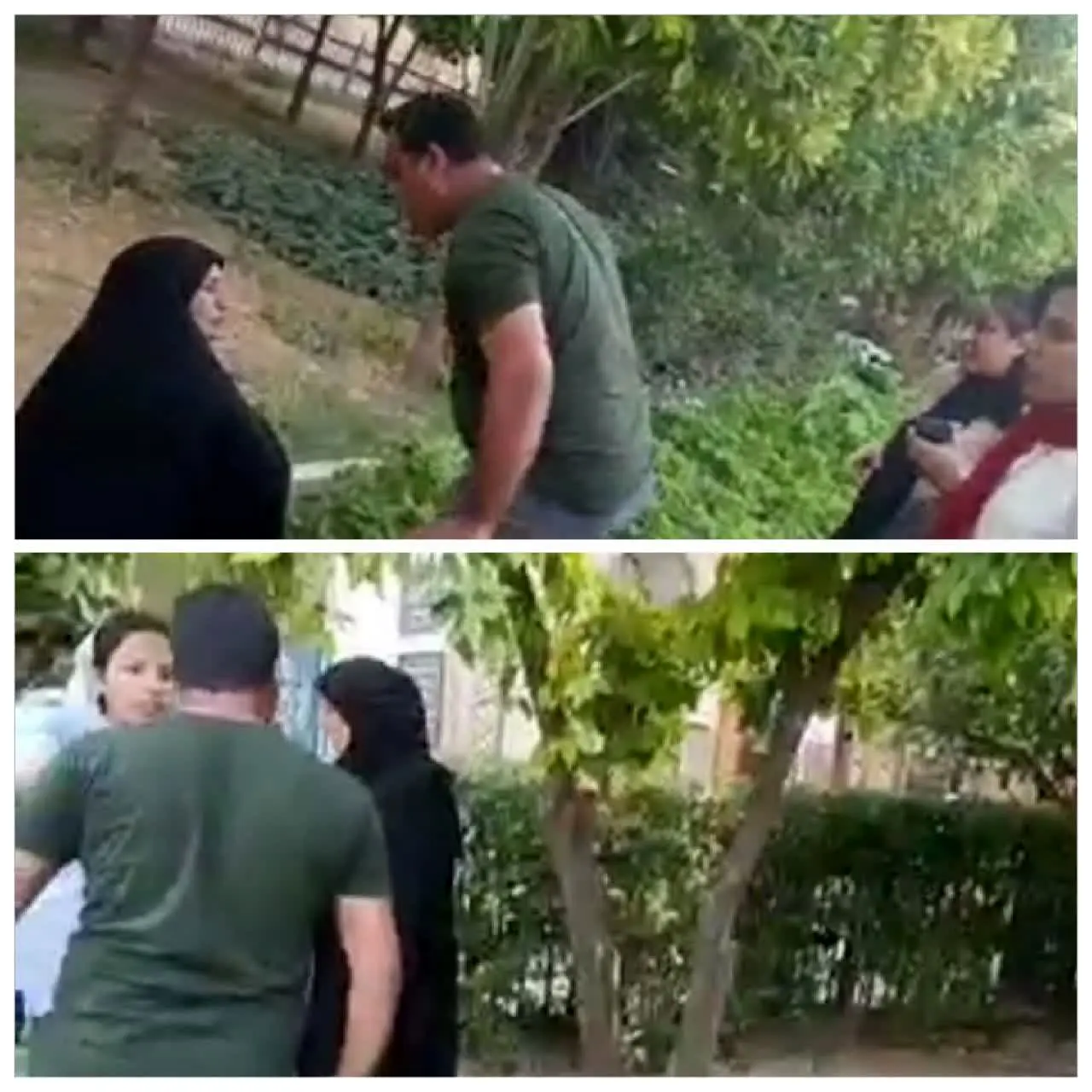 حمایت وزیر کشور از زن آمر به معروف در نارنجستان

