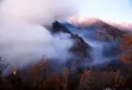 عاملان احتمالی آتش‌سوزی جنگل‌های الیت مشخص شدند