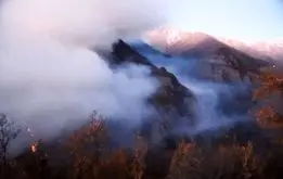 عاملان احتمالی آتش‌سوزی جنگل‌های الیت مشخص شدند