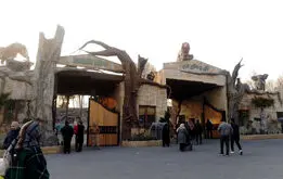 پرویز ۷۰ ساله با پارک ارم خداحافظی کرد