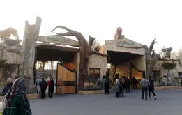 پرویز ۷۰ ساله با پارک ارم خداحافظی کرد