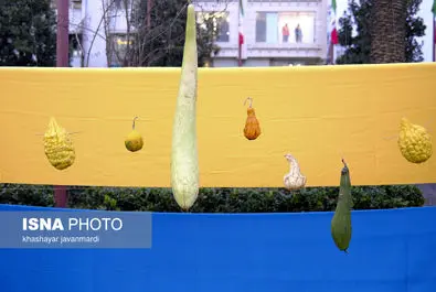 جشنواره خوراک رشت