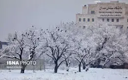سرمای شدید در راه ایران! منتظرکاهش دما و برف از این تاریخ باشید + نقشه