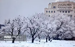 سرمای شدید در راه ایران! منتظرکاهش دما و برف از این تاریخ باشید + نقشه