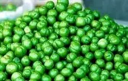 قیمت نوبرانه‌های بازار فضایی شد / مردم صبوری کنند