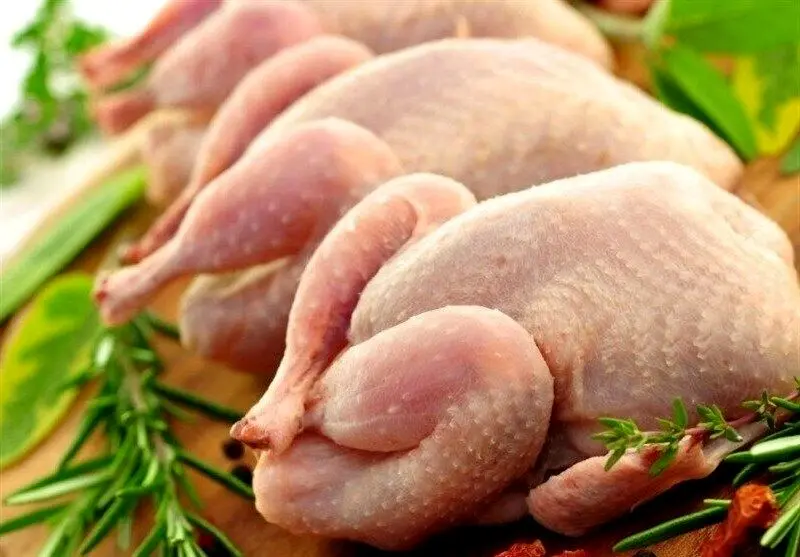 مرغ نایاب شد | مرغ نیست، سوال نکنید!