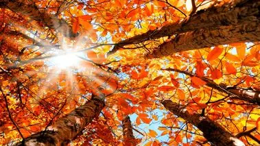 منتظر این اتفاق در ساعت ۰۹:۴۴ سه شنبه اول مهر  ۱۴۰۴ باشید 
