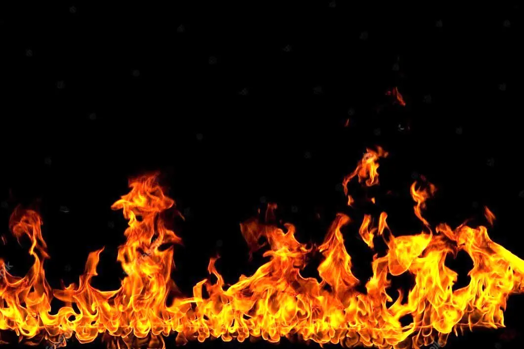 آتش به جان یک کارخانه لبنی در تهران افتاد