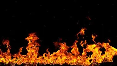 آتش به جان یک کارخانه لبنی در تهران افتاد