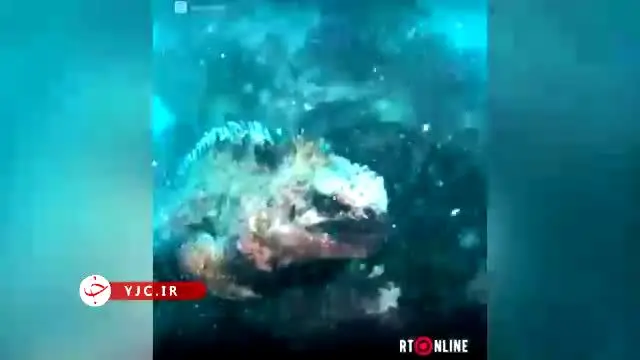 ببینید | کشف باورنکردنی گودزیلا در اعماق دریا 