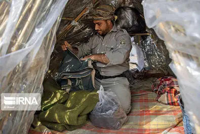 نگهبانان تالاب هورالعظیم
