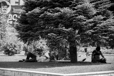 خواب در هیاهو