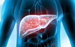 محافظ کبد در برابر چربی و التهاب؛ تازه بخوریم یا خشک؟