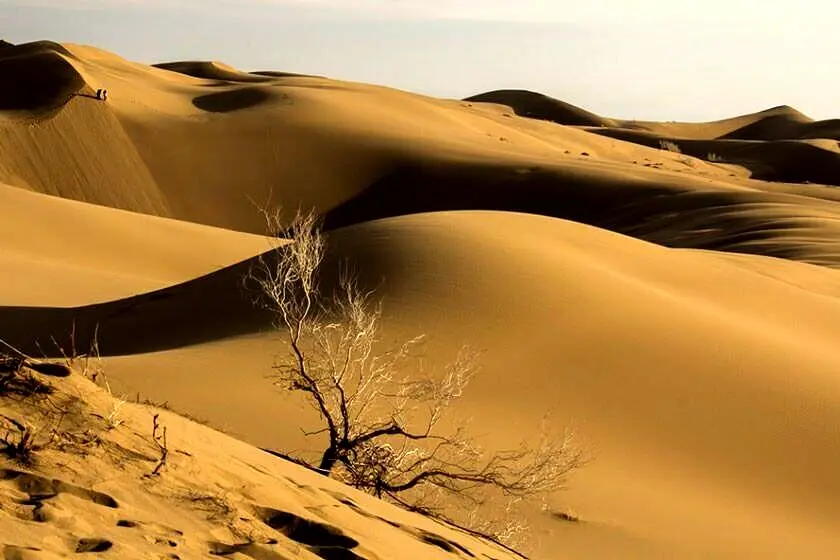 ۸ نفر در کویر دامغان گم شدند


