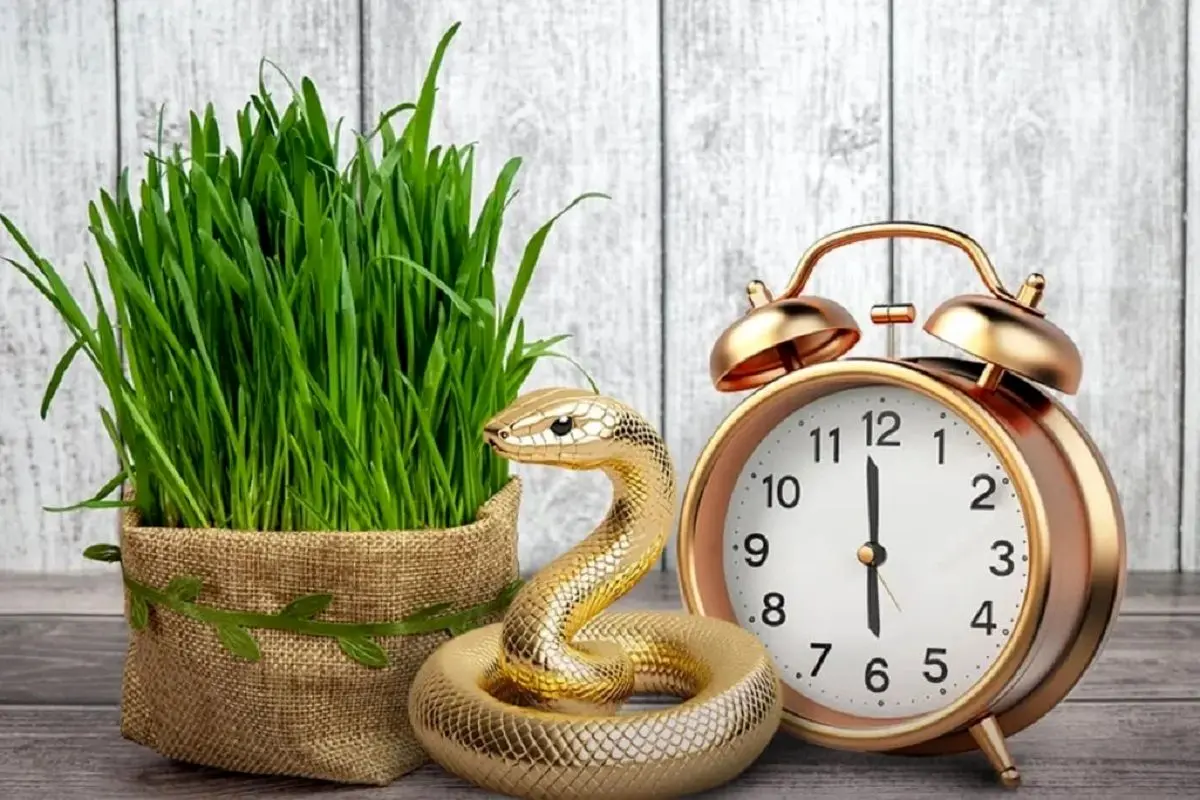 سال ۱۴۰۴ سال چه حیوانی است؟ / در سال جدید چه چیزهایی در انتظارمان است؟

