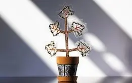 اختراع دانشمند ایرانی که موبایل را شارژ می‌کند/گیاه برقی؟