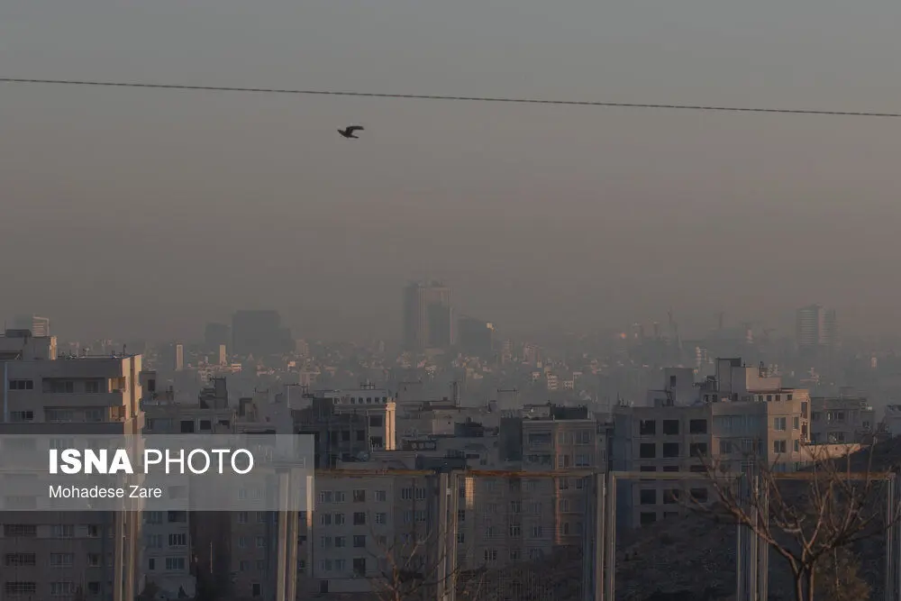 جزئیات انفجار در  مشهد
