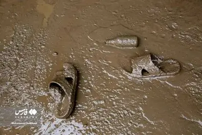 سیل در کن
