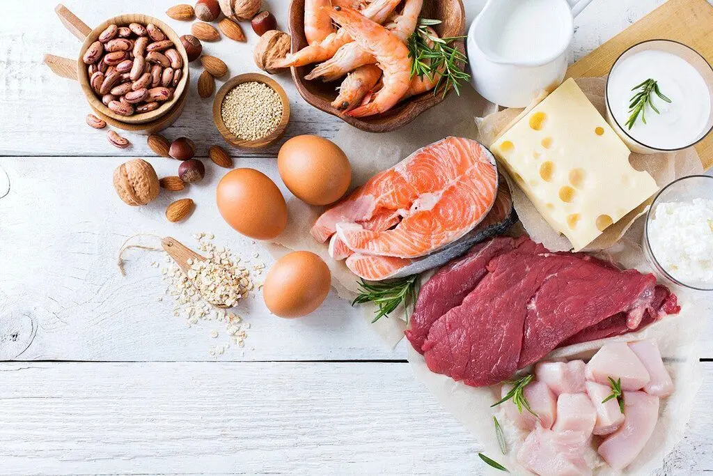 تغذیه روزانه باید شامل چه خوراکی هایی باشد؟