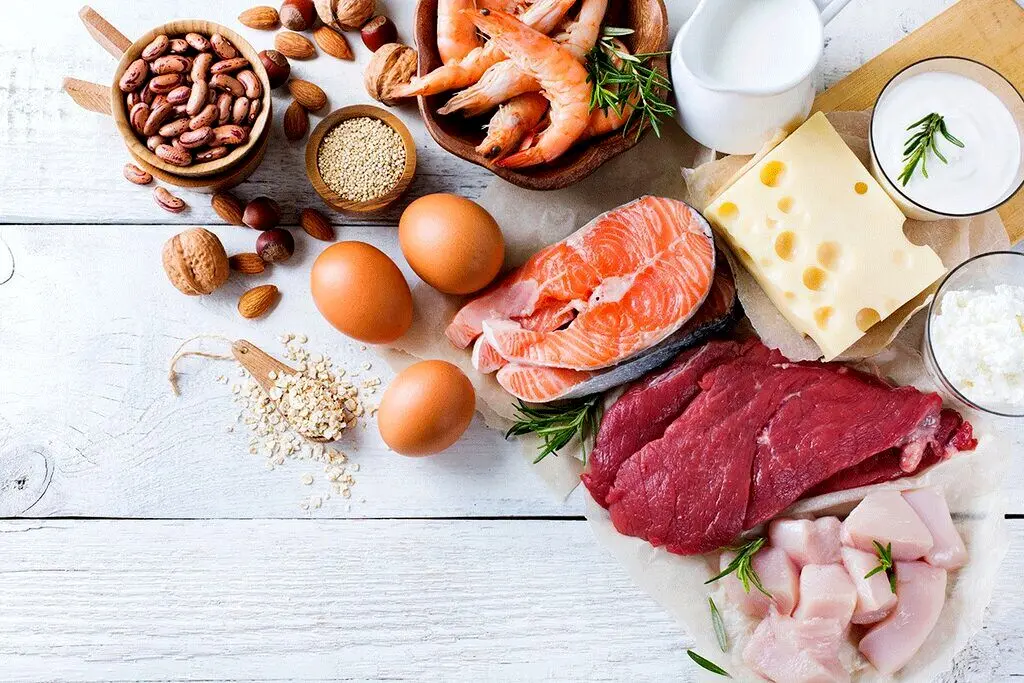 تغذیه روزانه باید شامل چه خوراکی هایی باشد؟