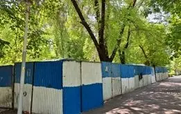 حصارکشی پارک‌ها به لاله رسید/ جان درختان در خطر است؟+عکس