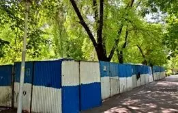 حصارکشی پارک‌ها به لاله رسید/ جان درختان در خطر است؟+عکس
